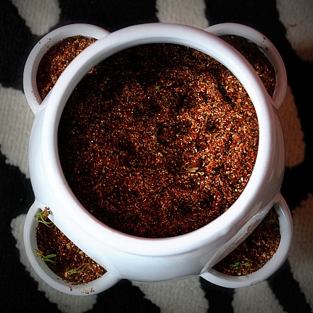 The original seeds seem to have been nicked from this. Got it in my stocking at Christmas. Stuck in some purple ruffles basil, Thai basil, sweet Genovese basil, cinnamon basil and coriander. All but one type are up as little seedlings with the coriander the quickest off the mark. 